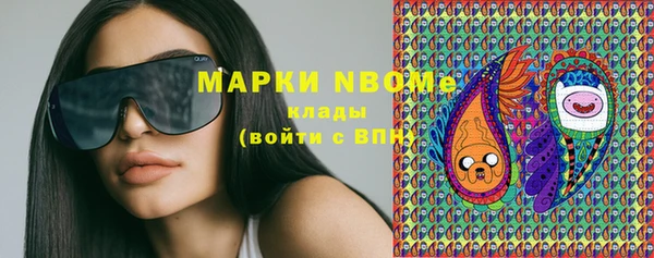 шишки Алексин