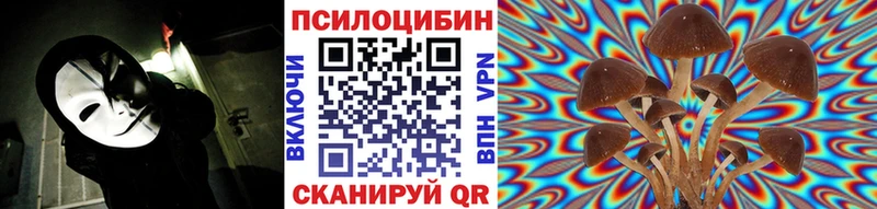 Псилоцибиновые грибы GOLDEN TEACHER  Рыбное 